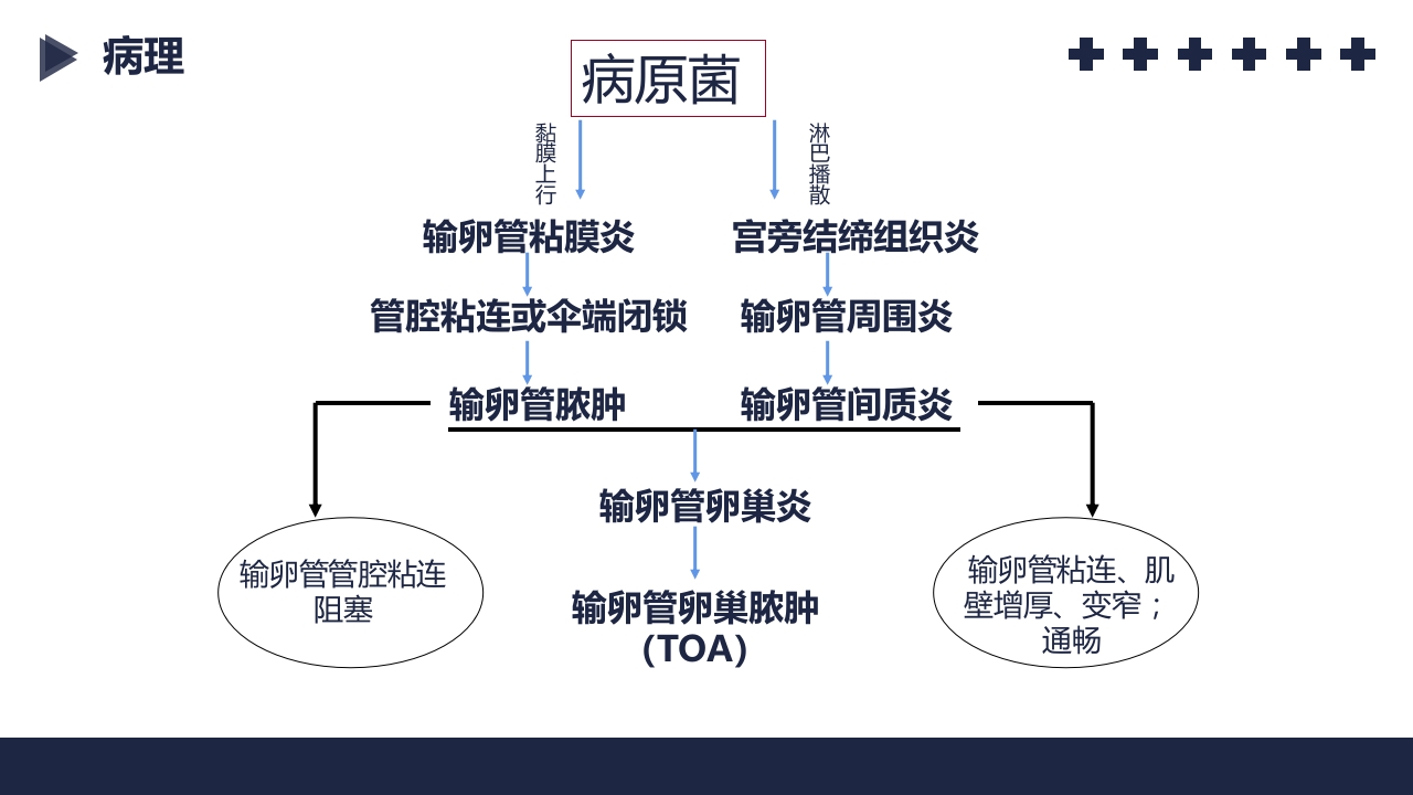 盆腔炎知识介绍PPT课件20