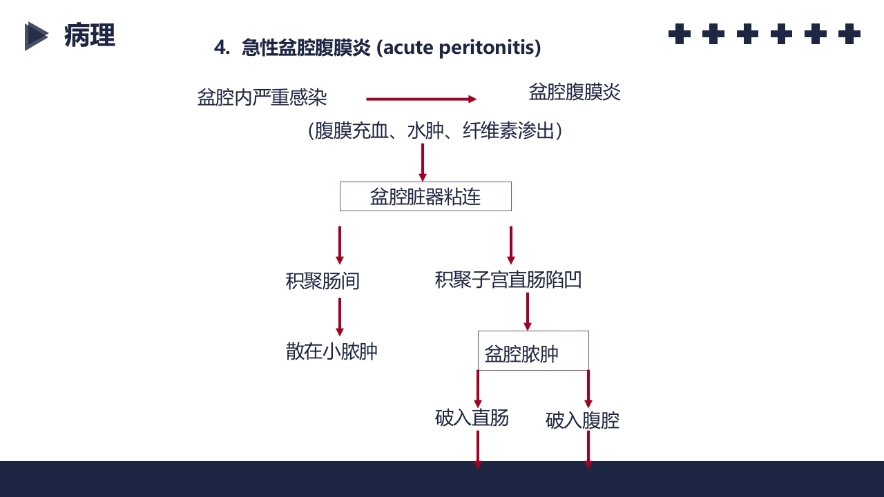 盆腔炎知识介绍PPT课件22