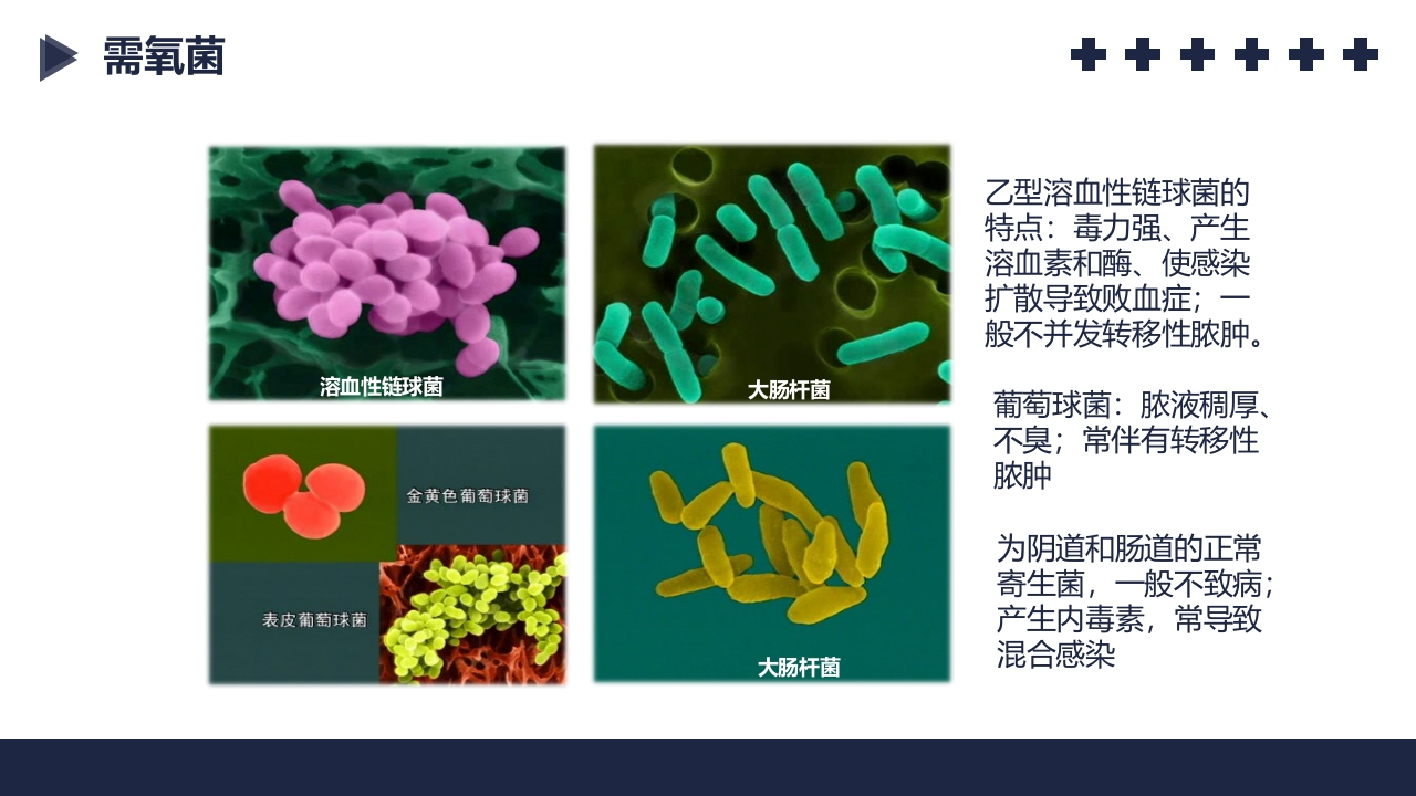 盆腔炎知识介绍PPT课件8