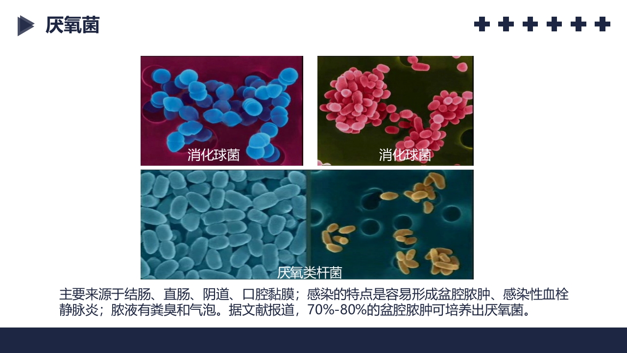 盆腔炎知识介绍PPT课件9