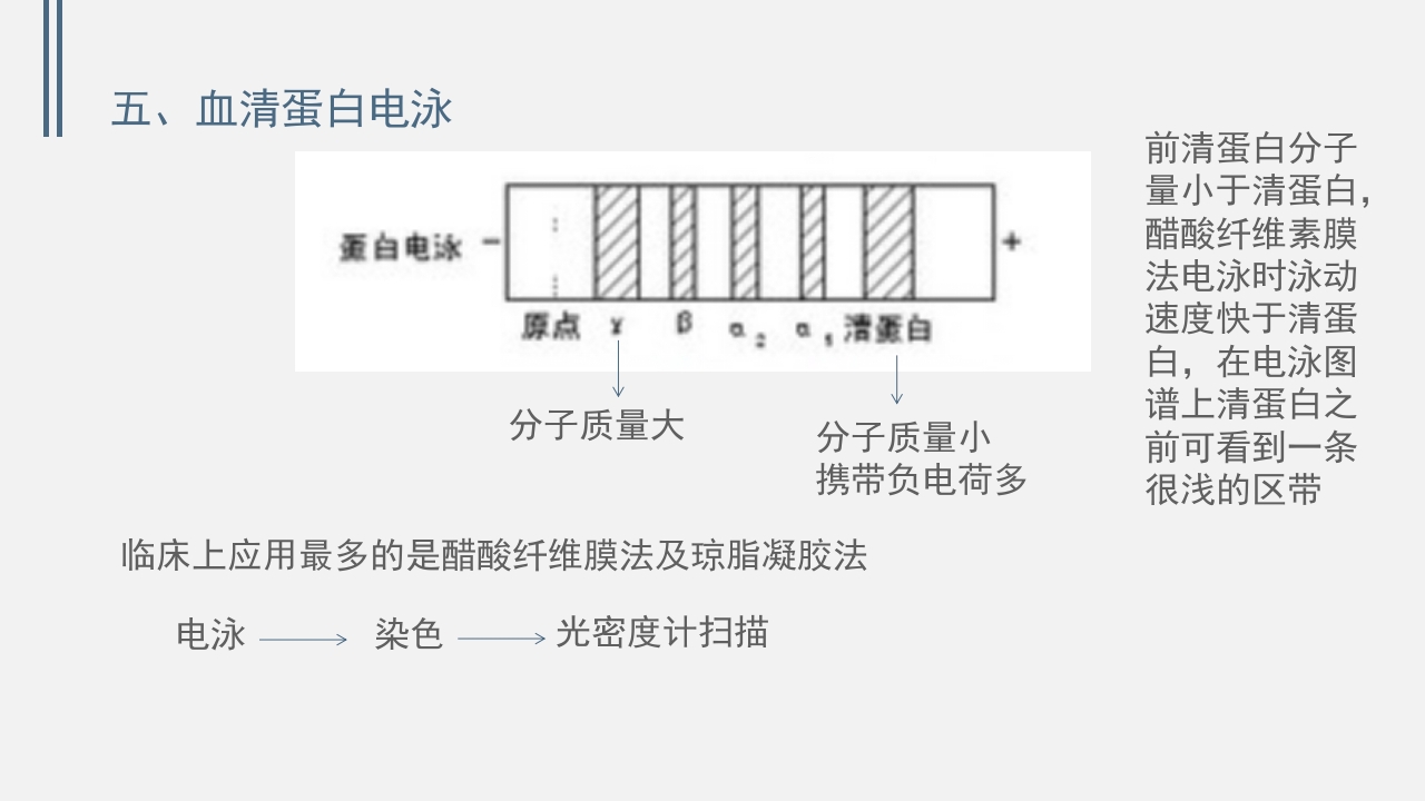 肝功能的实验室检测PPT课件下载26