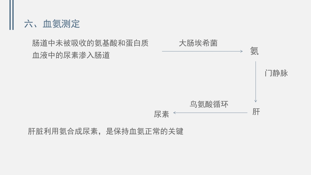 肝功能的实验室检测PPT课件下载30