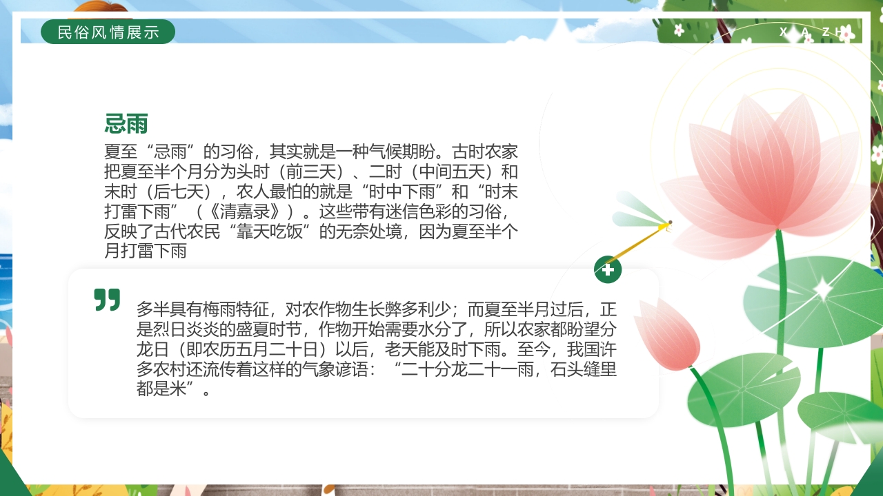 绿色卡通插画风二十四节气之夏至PPT课件20