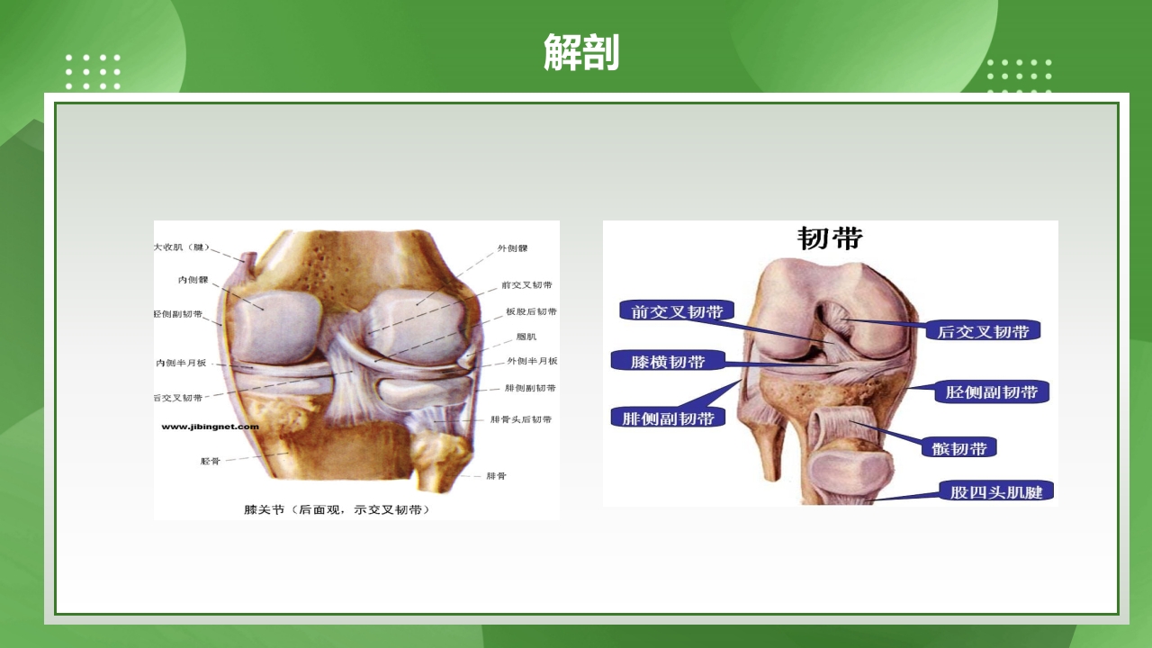 膝关节镜护理查房PPT课件下载4