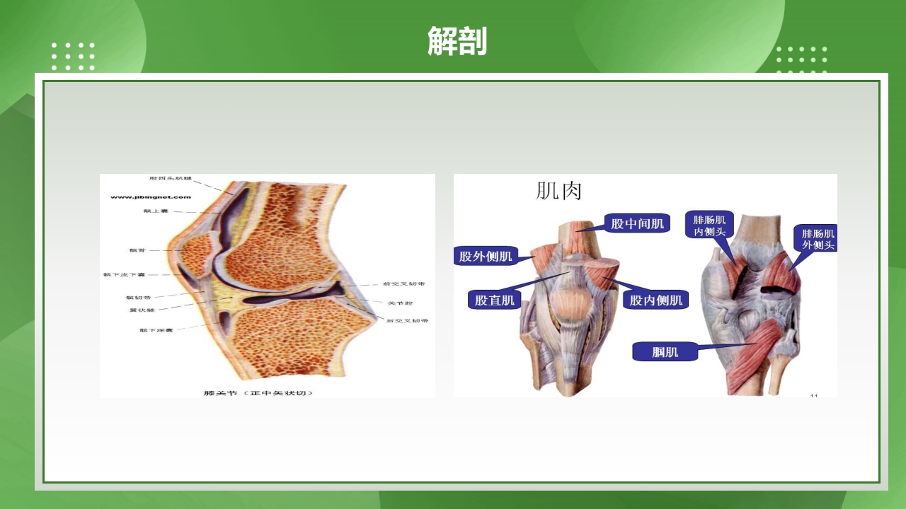 膝关节镜护理查房PPT课件下载5