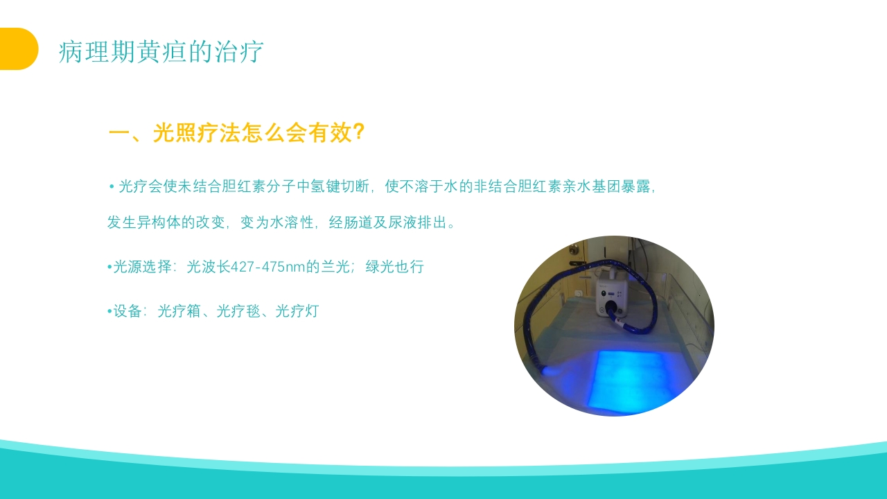 新生儿黄疸治疗护理知识PPT课件28
