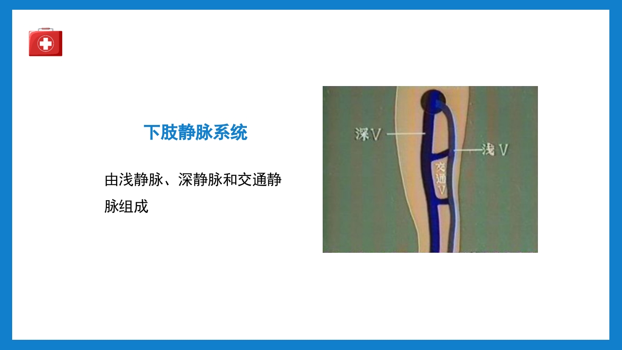 周围血管疾病病人的护理培训PPT课件下载2