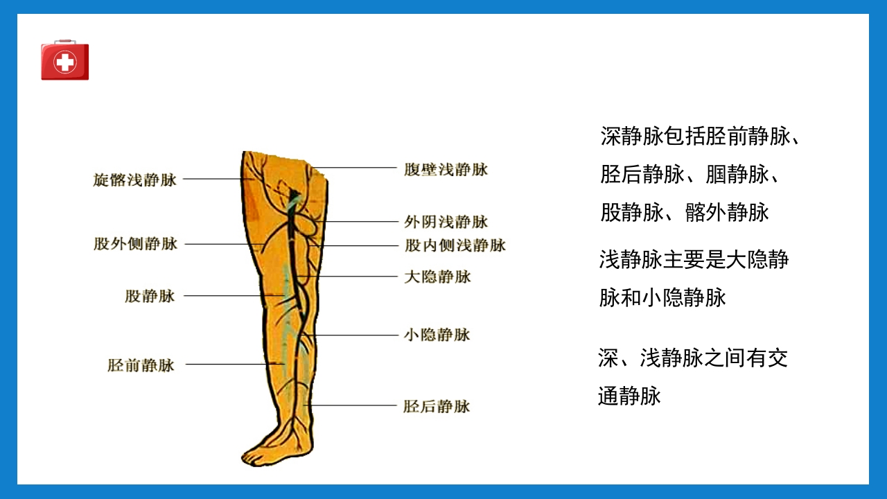 周围血管疾病病人的护理培训PPT课件下载3