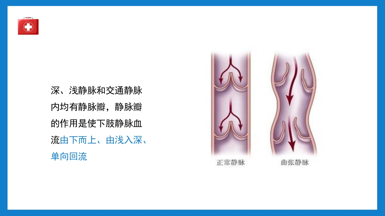 周围血管疾病病人的护理培训PPT课件下载4