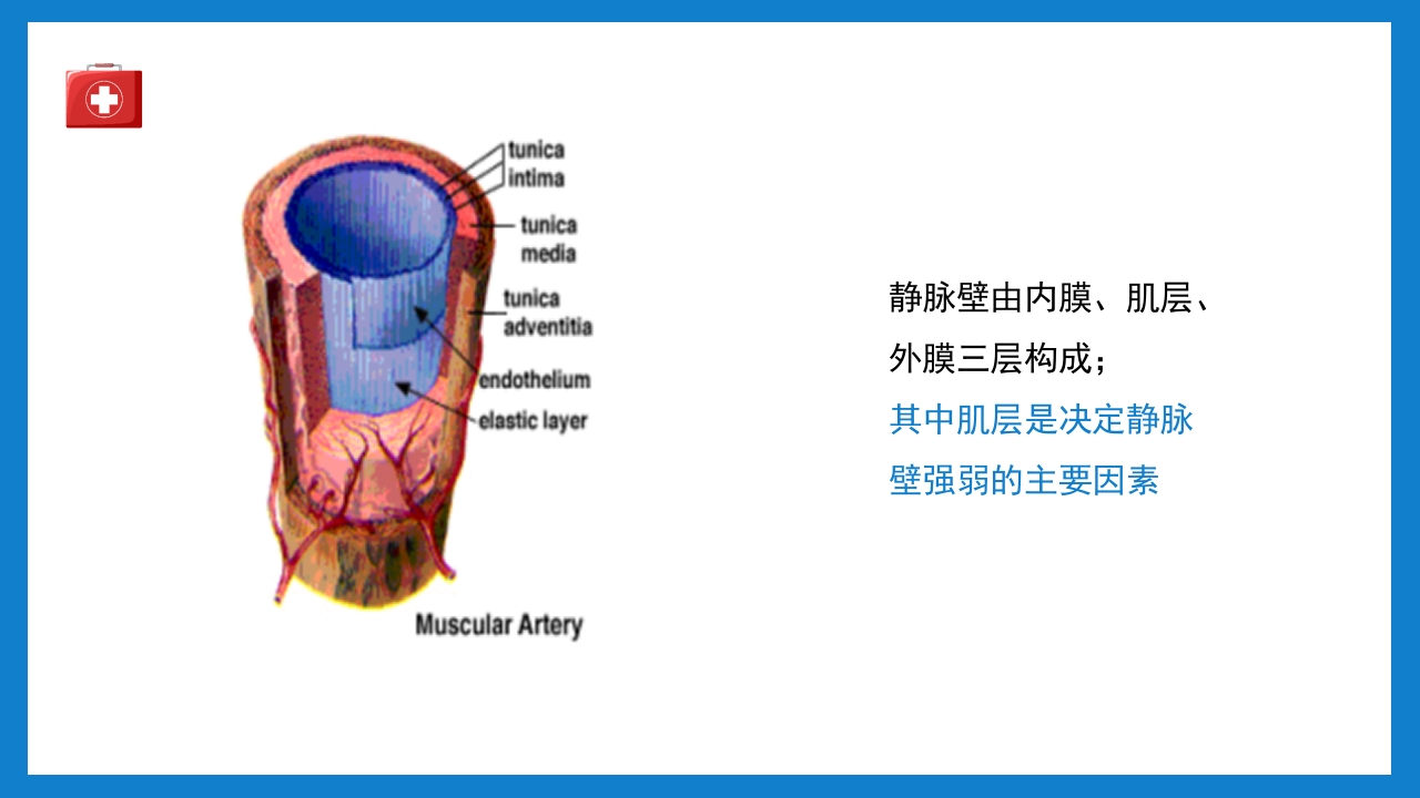 周围血管疾病病人的护理培训PPT课件下载5