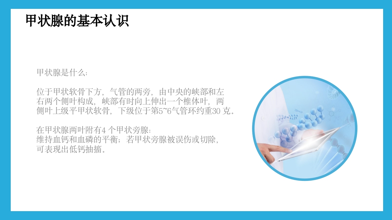 甲状腺疾病的预防与治疗PPT课件下载4
