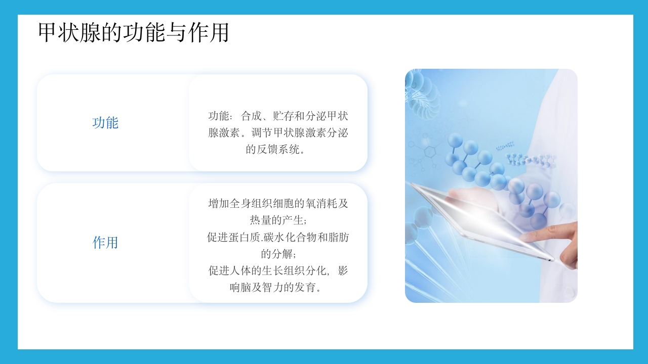 甲状腺疾病的预防与治疗PPT课件下载5