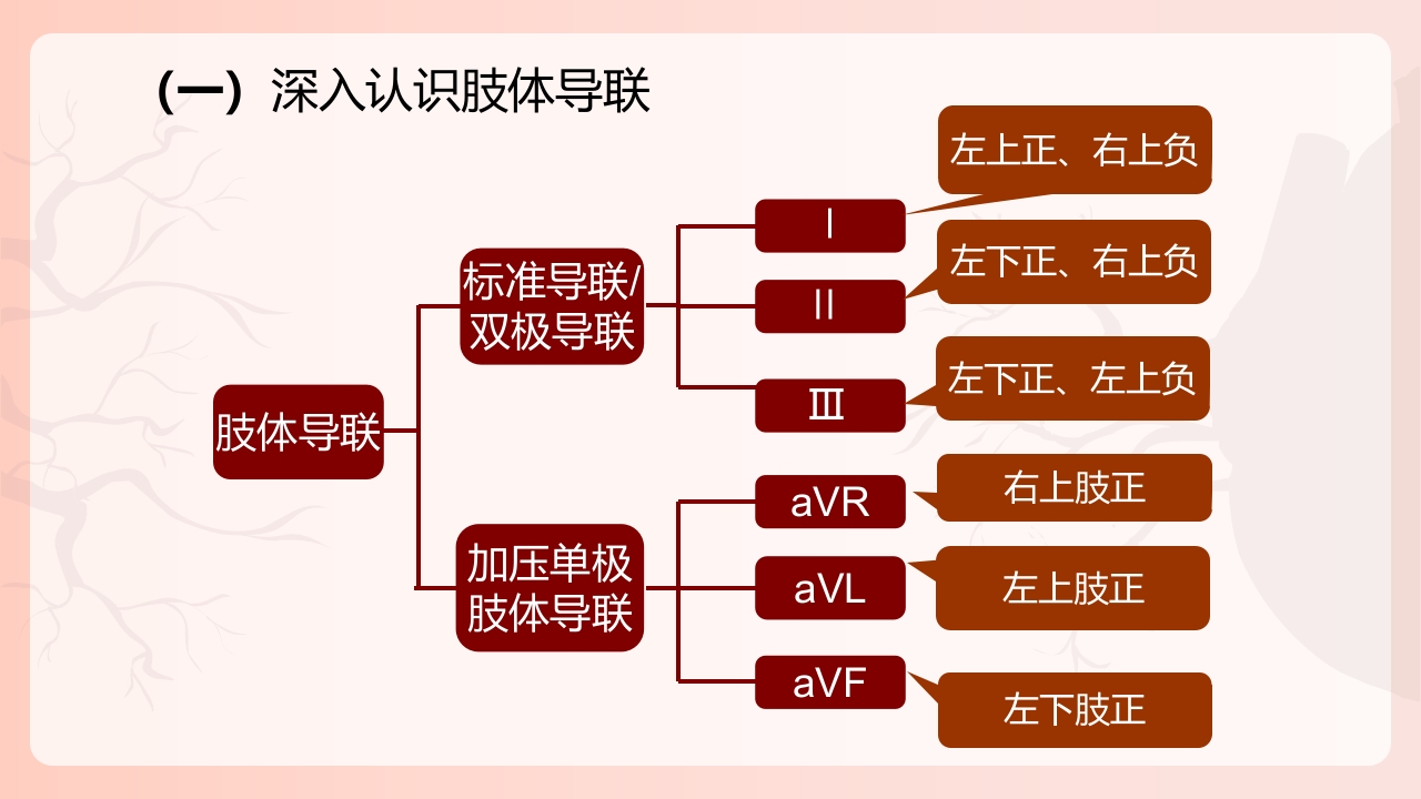心电图机的正确使用PPT课件下载17