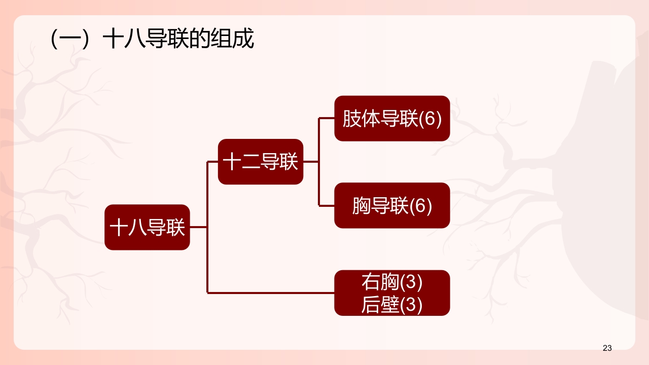 心电图机的正确使用PPT课件下载24