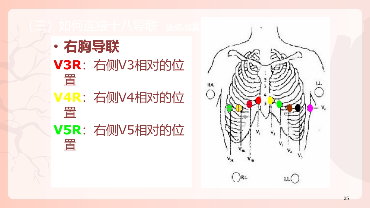 心电图机的正确使用PPT课件下载26
