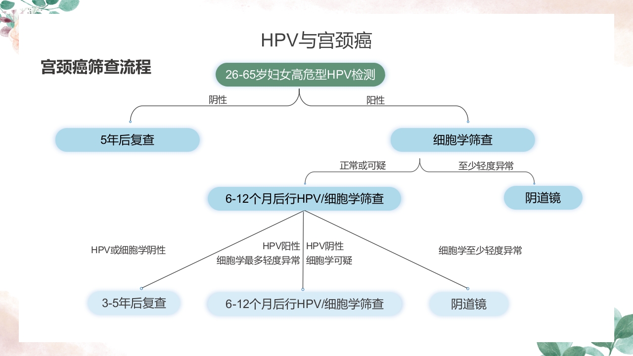 人乳头瘤病毒（HPV）与宫颈癌知识科普PPT课件15
