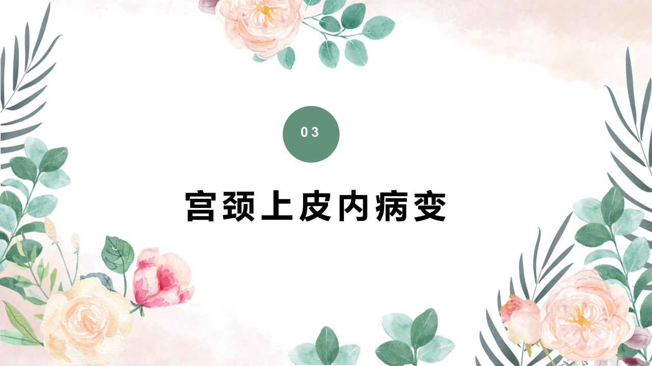 人乳头瘤病毒（HPV）与宫颈癌知识科普PPT课件19