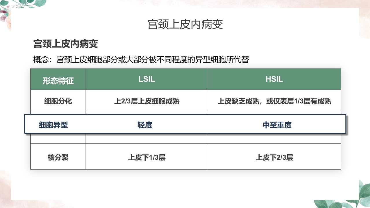 人乳头瘤病毒（HPV）与宫颈癌知识科普PPT课件20