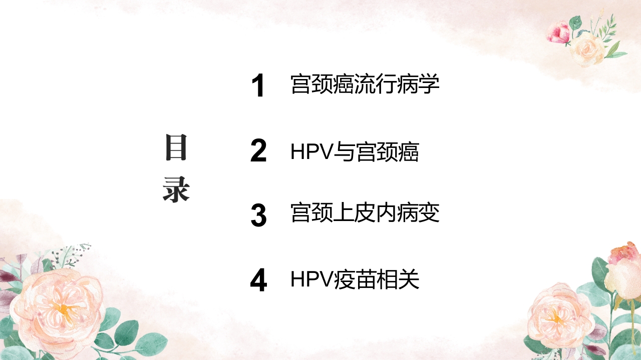 人乳头瘤病毒(HPV)与宫颈癌知识科普PPT课件2