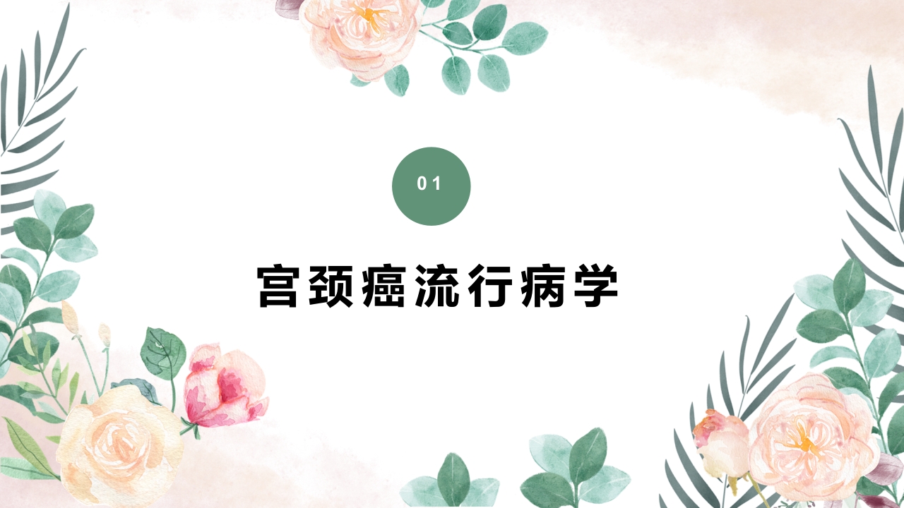 人乳头瘤病毒(HPV)与宫颈癌知识科普PPT课件3