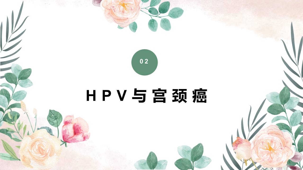 人乳头瘤病毒(HPV)与宫颈癌知识科普PPT课件6
