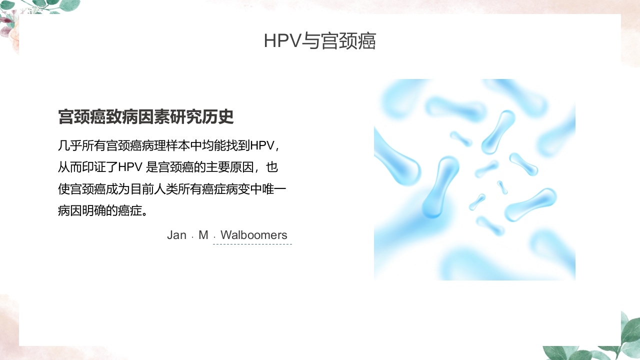 人乳头瘤病毒(HPV)与宫颈癌知识科普PPT课件8