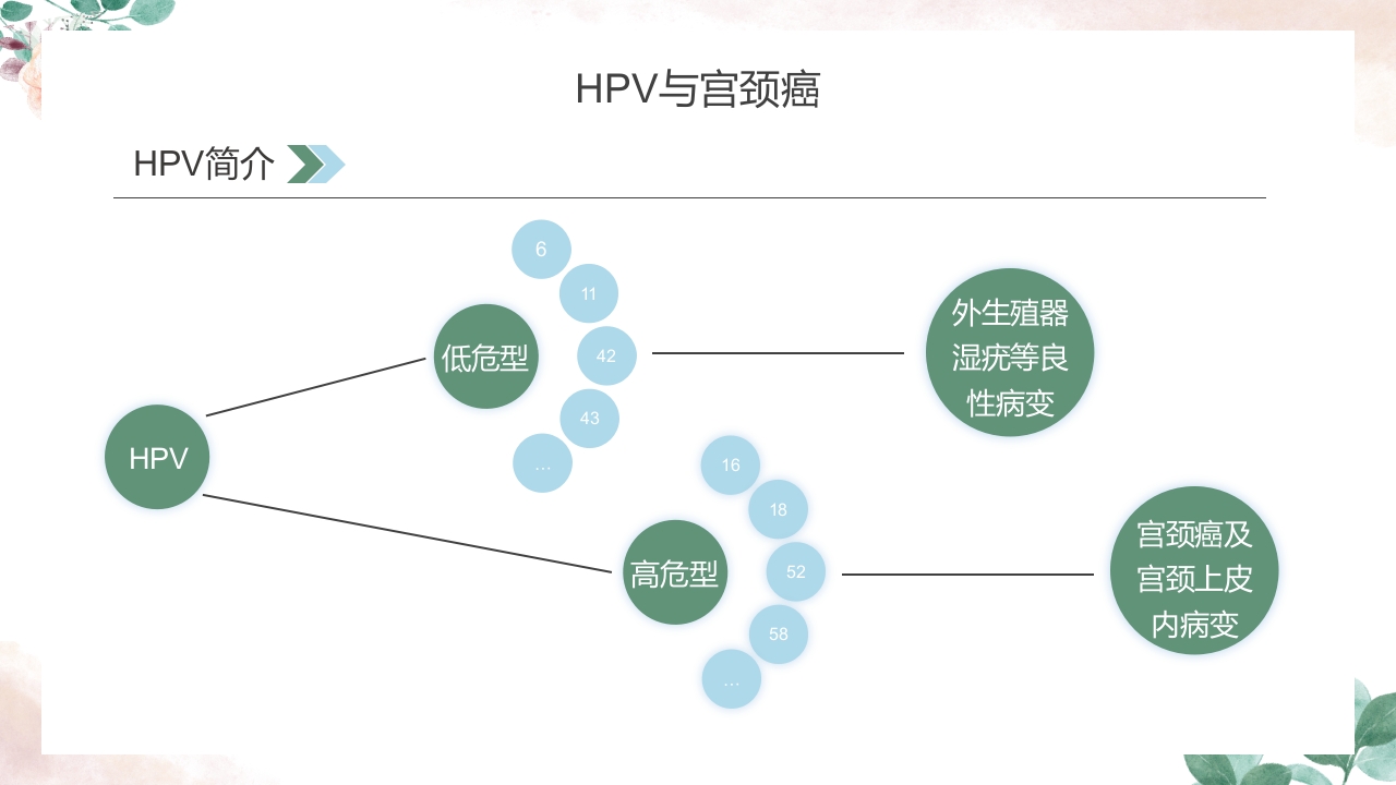 人乳头瘤病毒(HPV)与宫颈癌知识科普PPT课件9