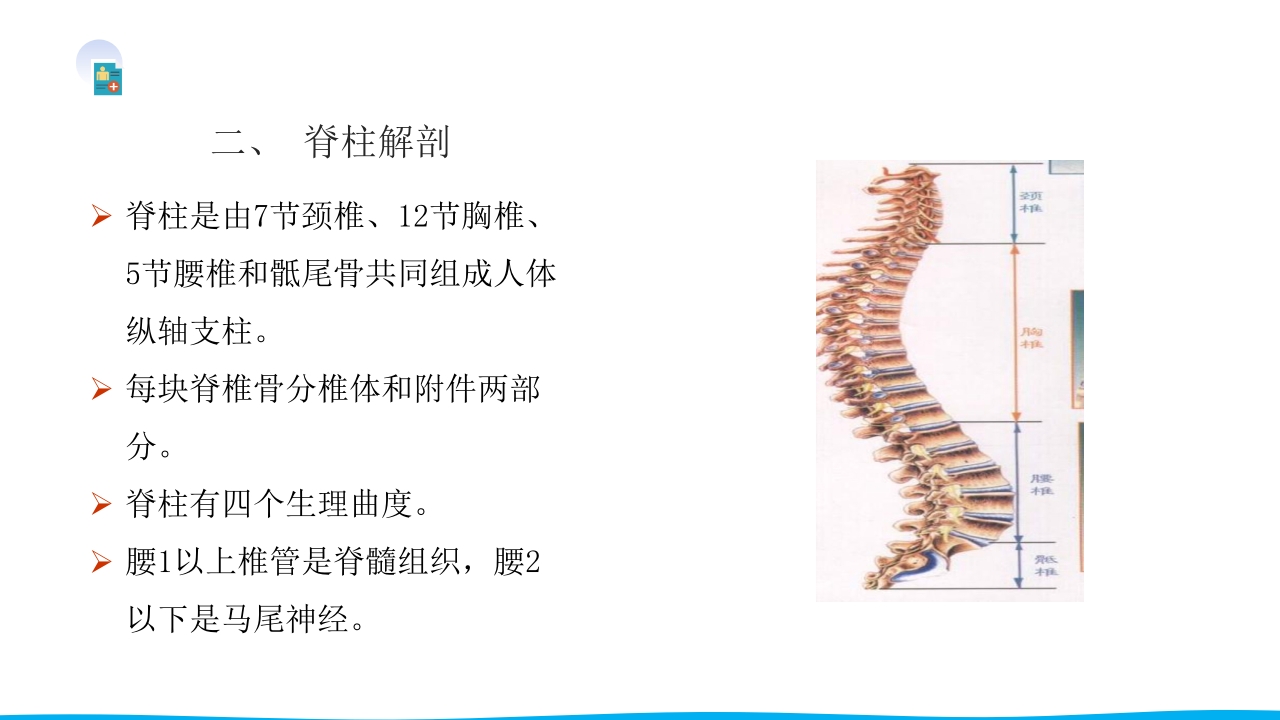 脊柱骨折与脊髓损伤PPT课件下载5