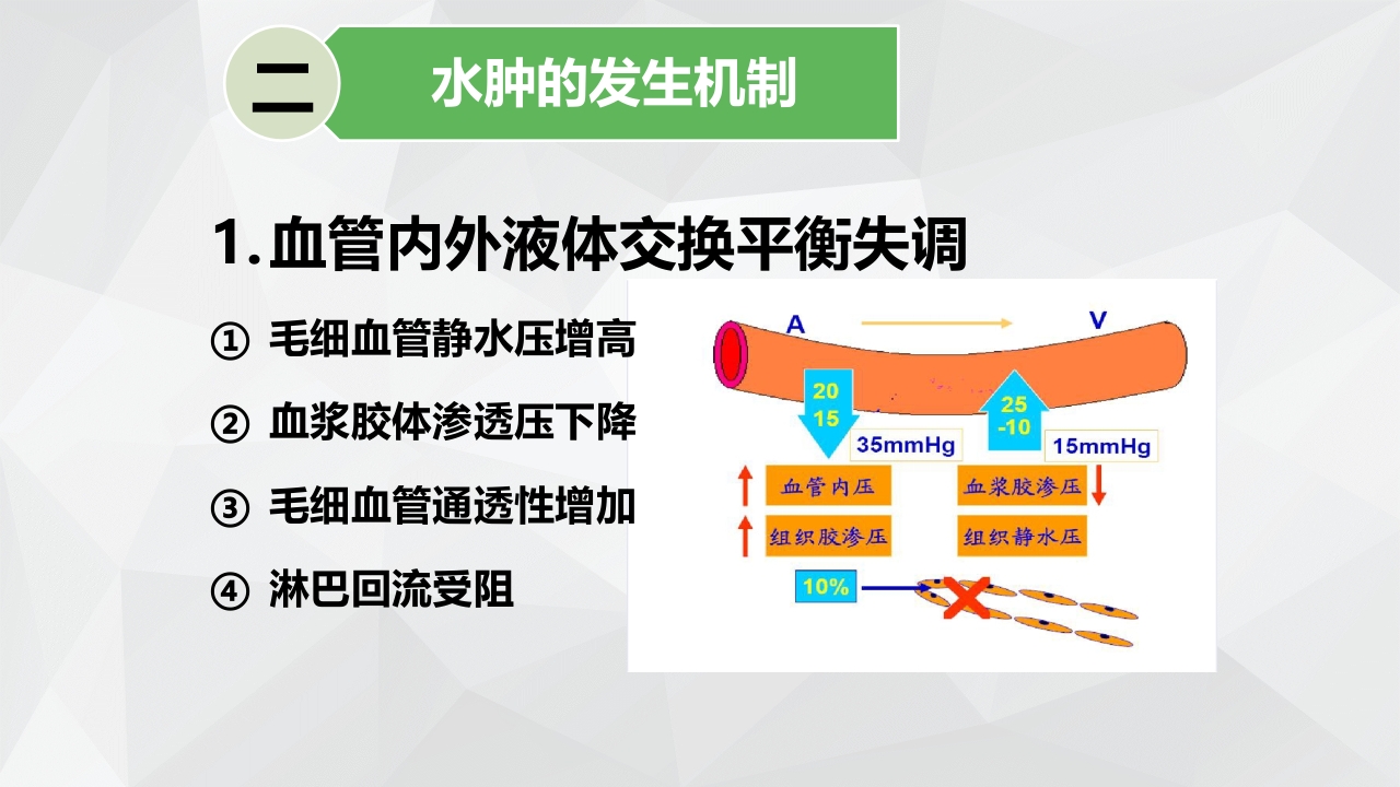 水肿的分类及护理PPT课件下载6