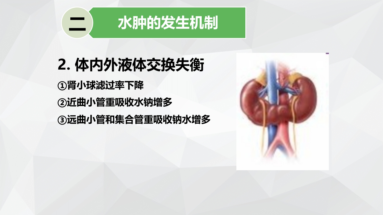 水肿的分类及护理PPT课件下载7
