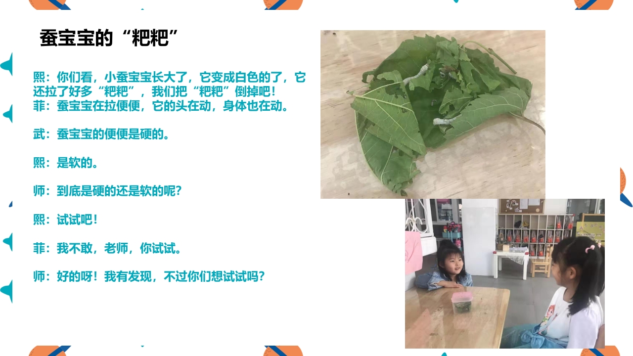 《蚕宝宝的成长》幼儿园大班班本课程PPT课件10