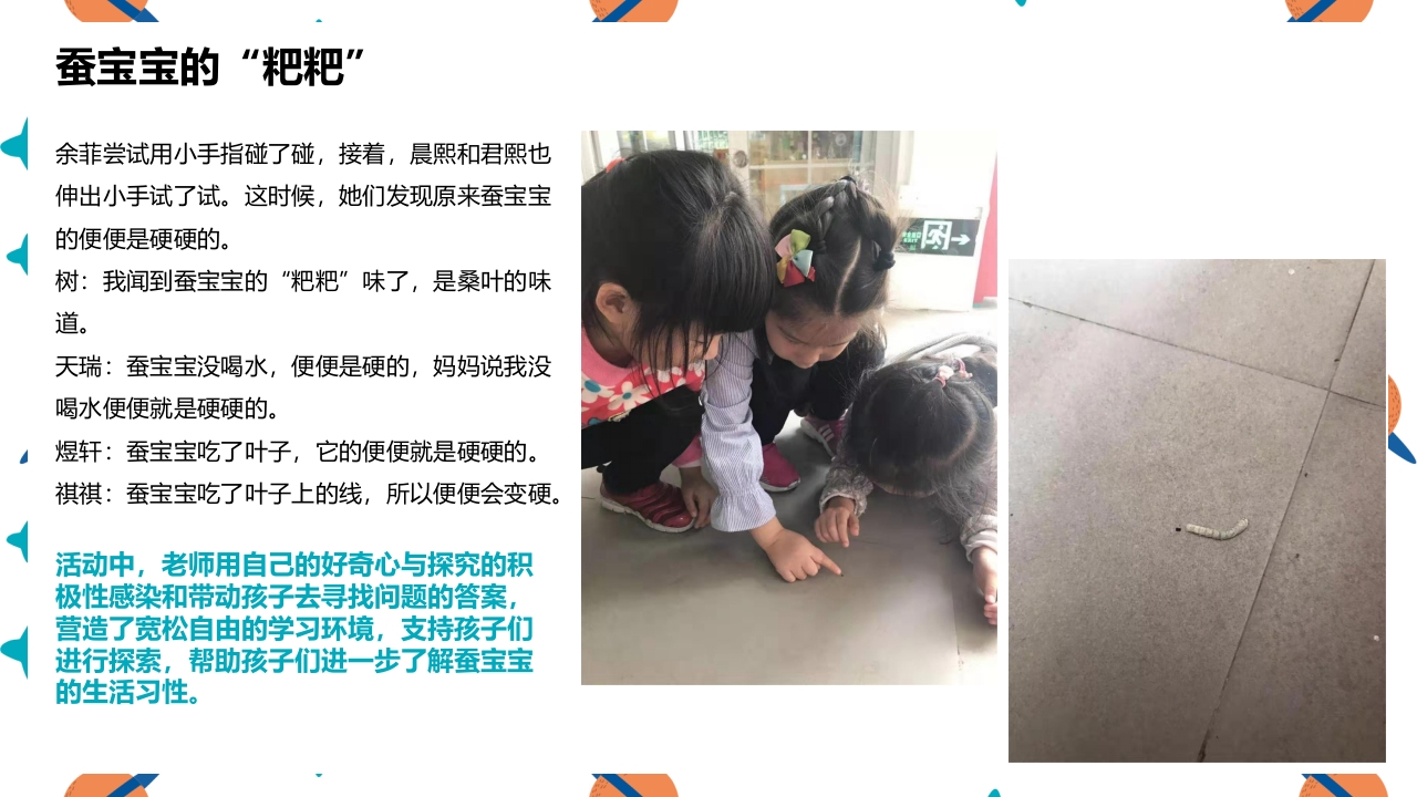 《蚕宝宝的成长》幼儿园大班班本课程PPT课件11