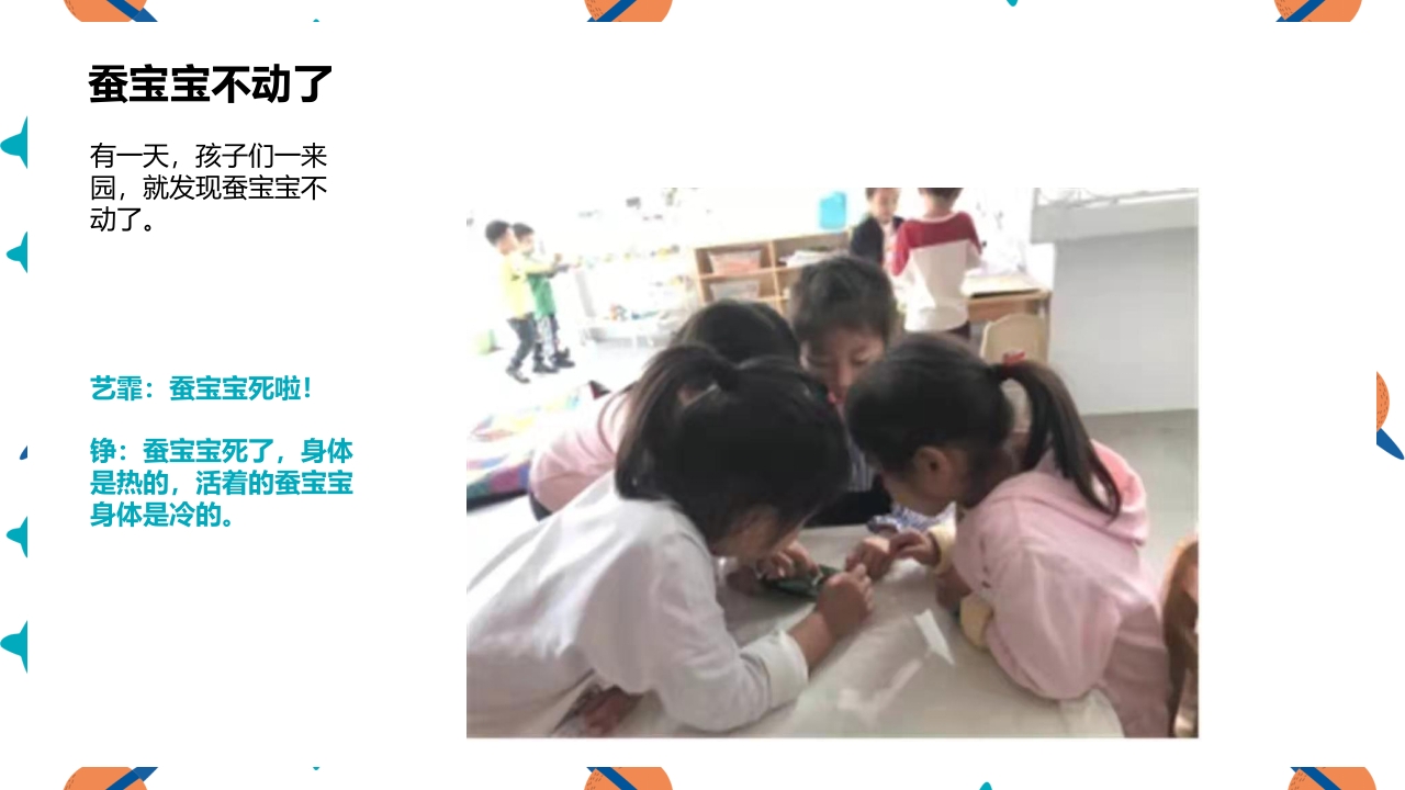 《蚕宝宝的成长》幼儿园大班班本课程PPT课件16