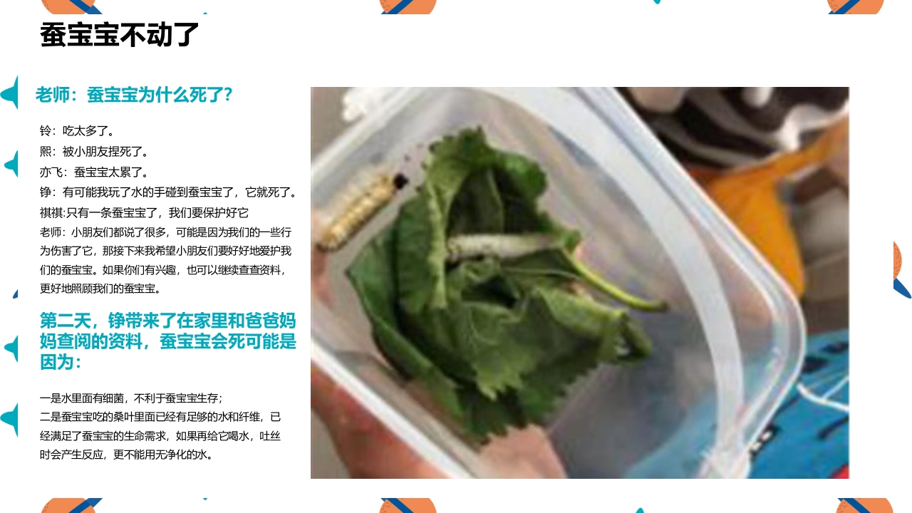 《蚕宝宝的成长》幼儿园大班班本课程PPT课件17