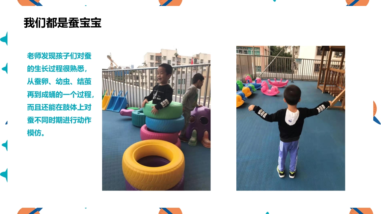 《蚕宝宝的成长》幼儿园大班班本课程PPT课件20