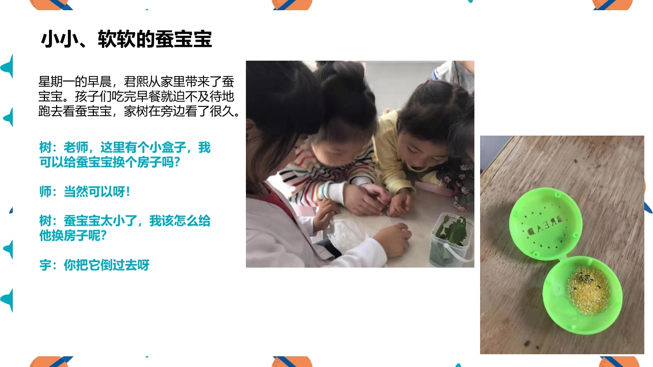 《蚕宝宝的成长》幼儿园大班班本课程PPT课件5
