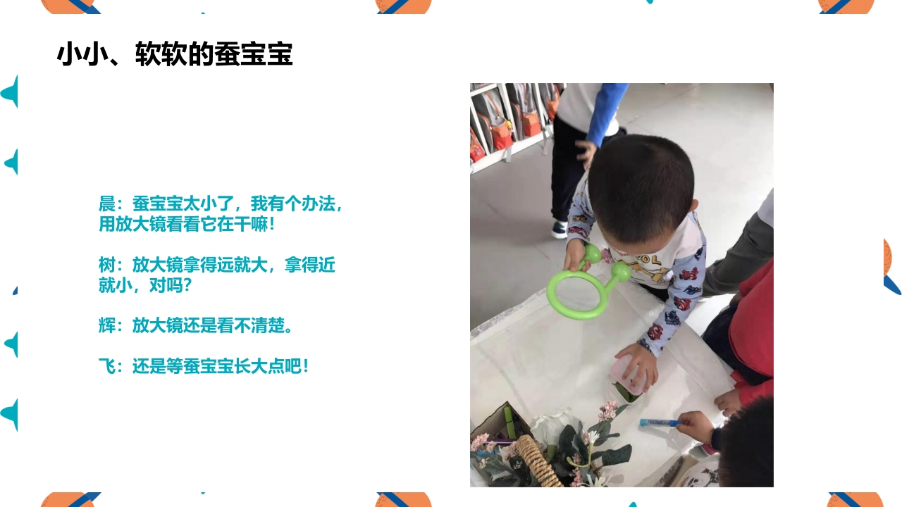 《蚕宝宝的成长》幼儿园大班班本课程PPT课件6