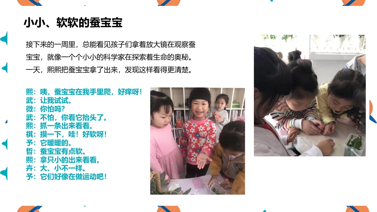 《蚕宝宝的成长》幼儿园大班班本课程PPT课件7
