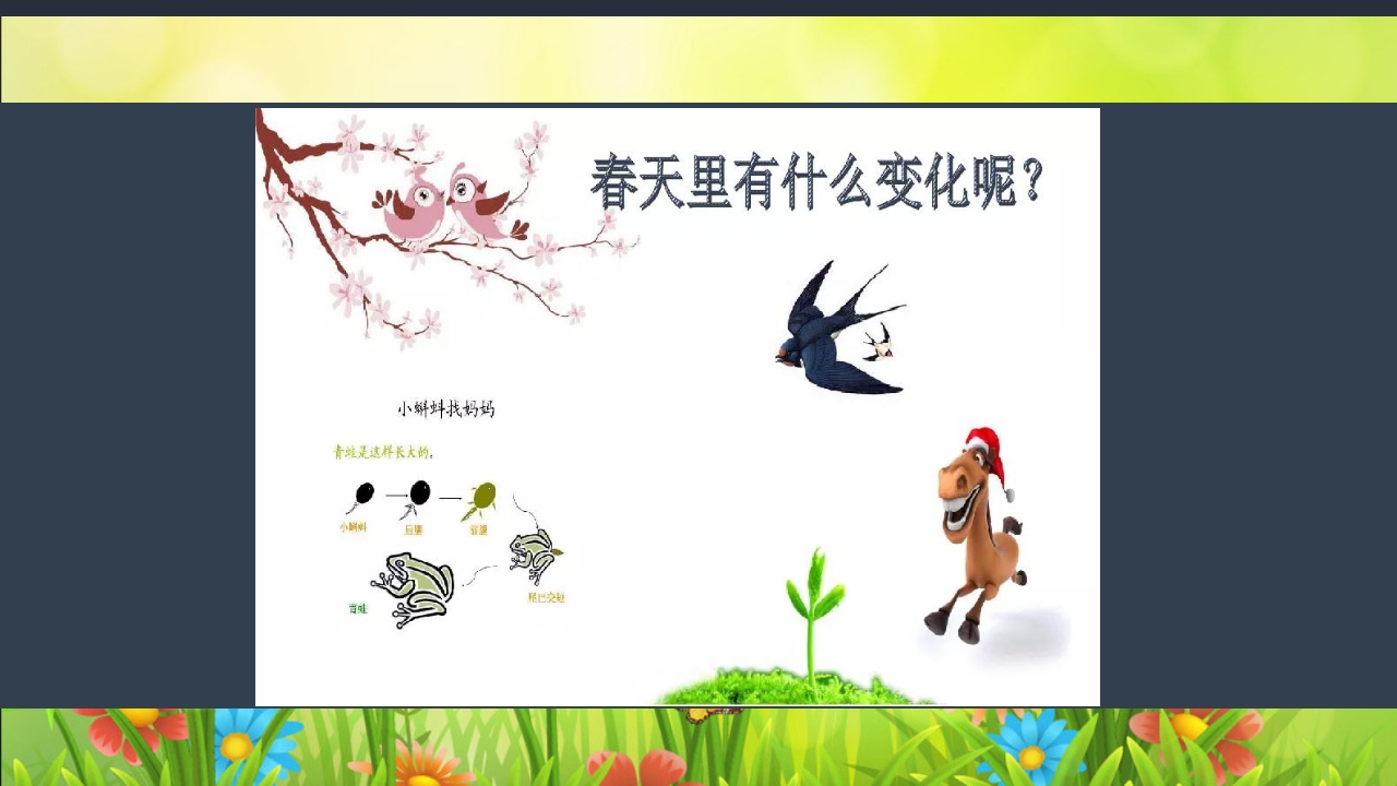 《春日长啊长》幼儿园大班班本课程PPT课件13