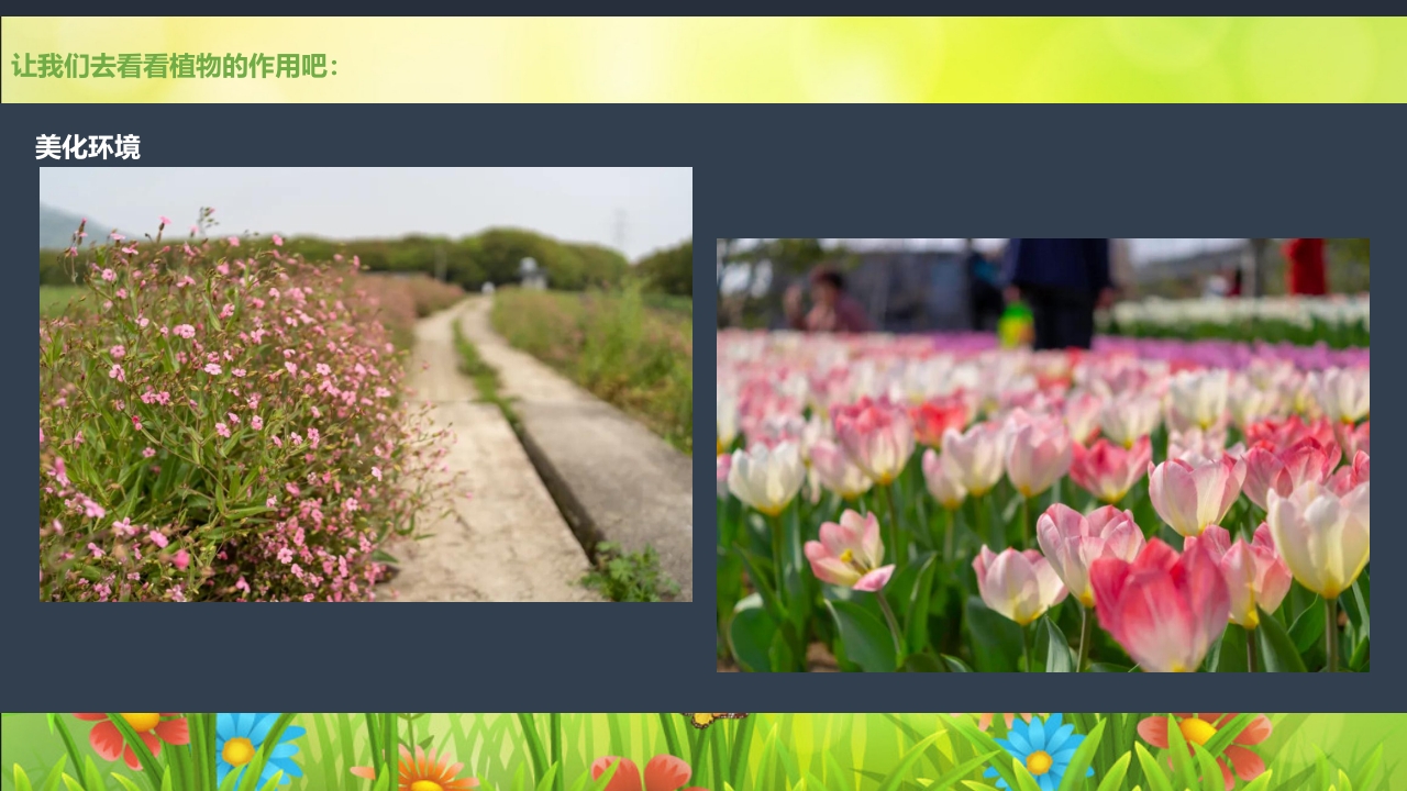 《春日长啊长》幼儿园大班班本课程PPT课件22