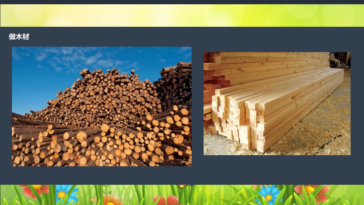 《春日长啊长》幼儿园大班班本课程PPT课件23