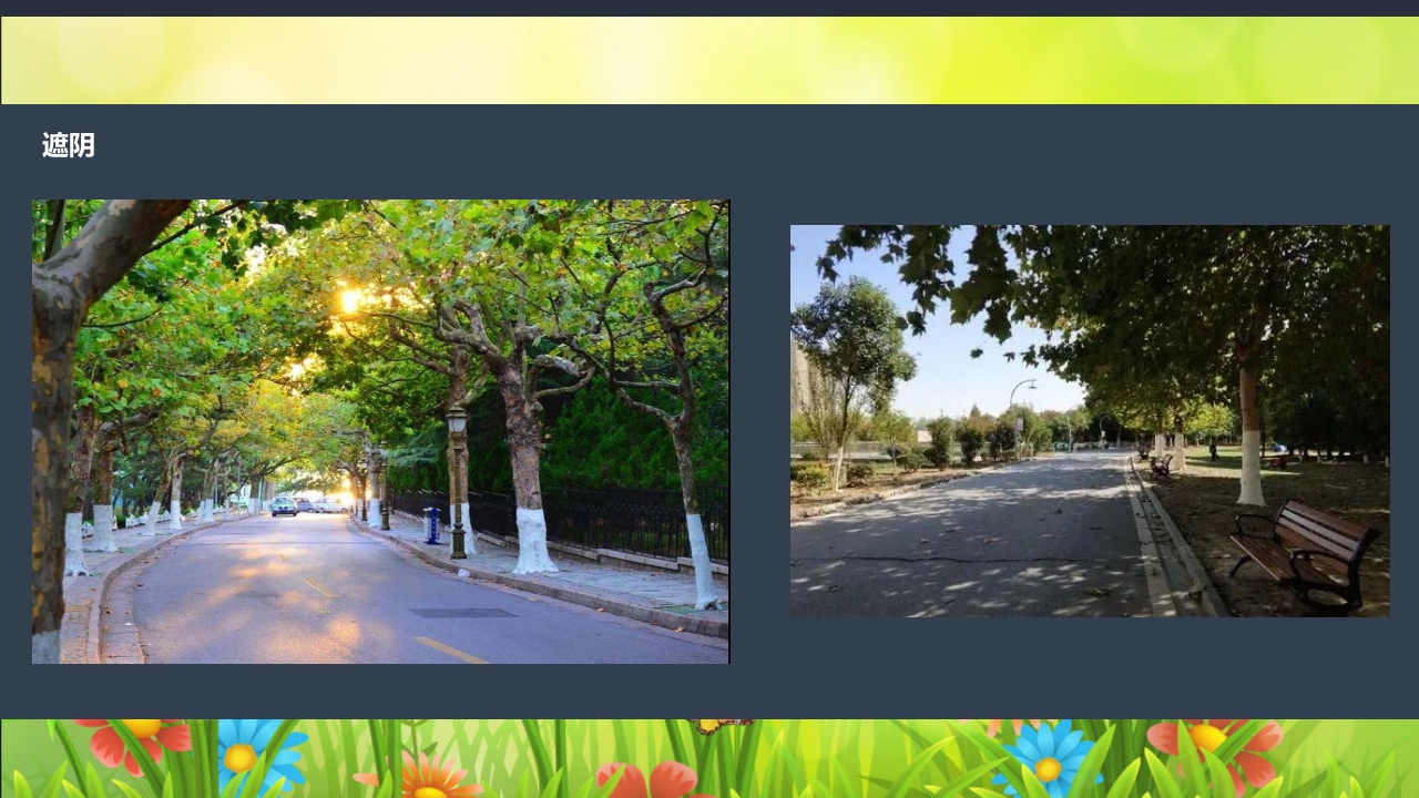 《春日长啊长》幼儿园大班班本课程PPT课件24