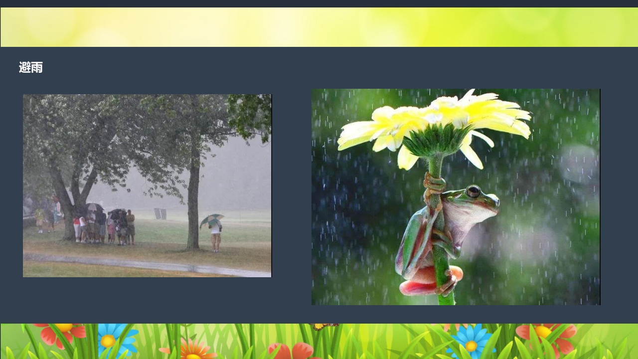 《春日长啊长》幼儿园大班班本课程PPT课件25