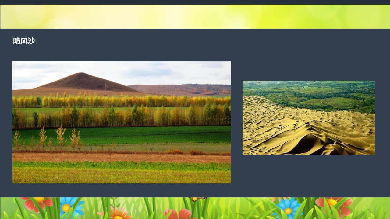 《春日长啊长》幼儿园大班班本课程PPT课件26