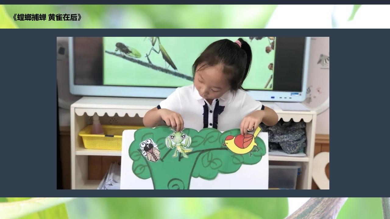 《蝉的秘密》幼儿园大班班本课程PPT课件18