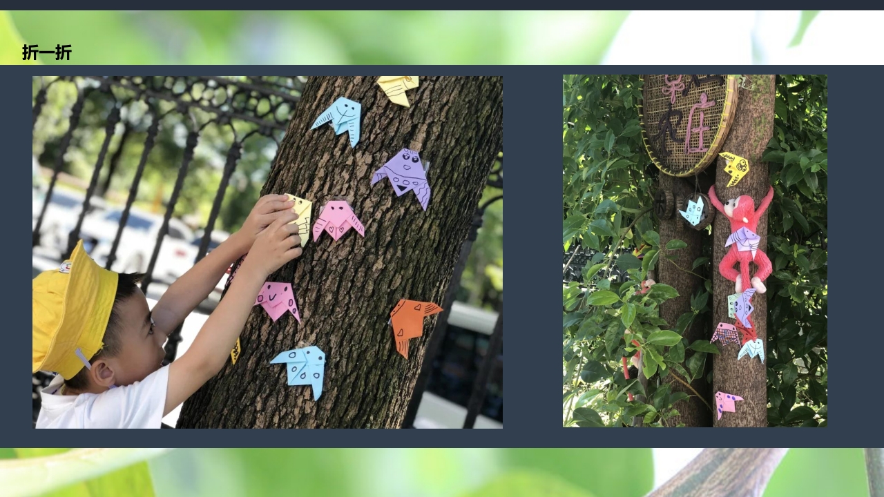 《蝉的秘密》幼儿园大班班本课程PPT课件20