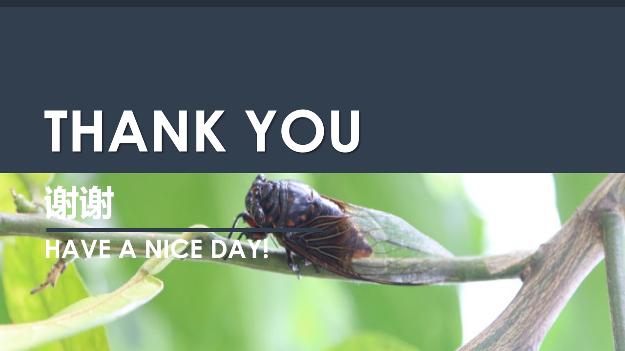 《蝉的秘密》幼儿园大班班本课程PPT课件23