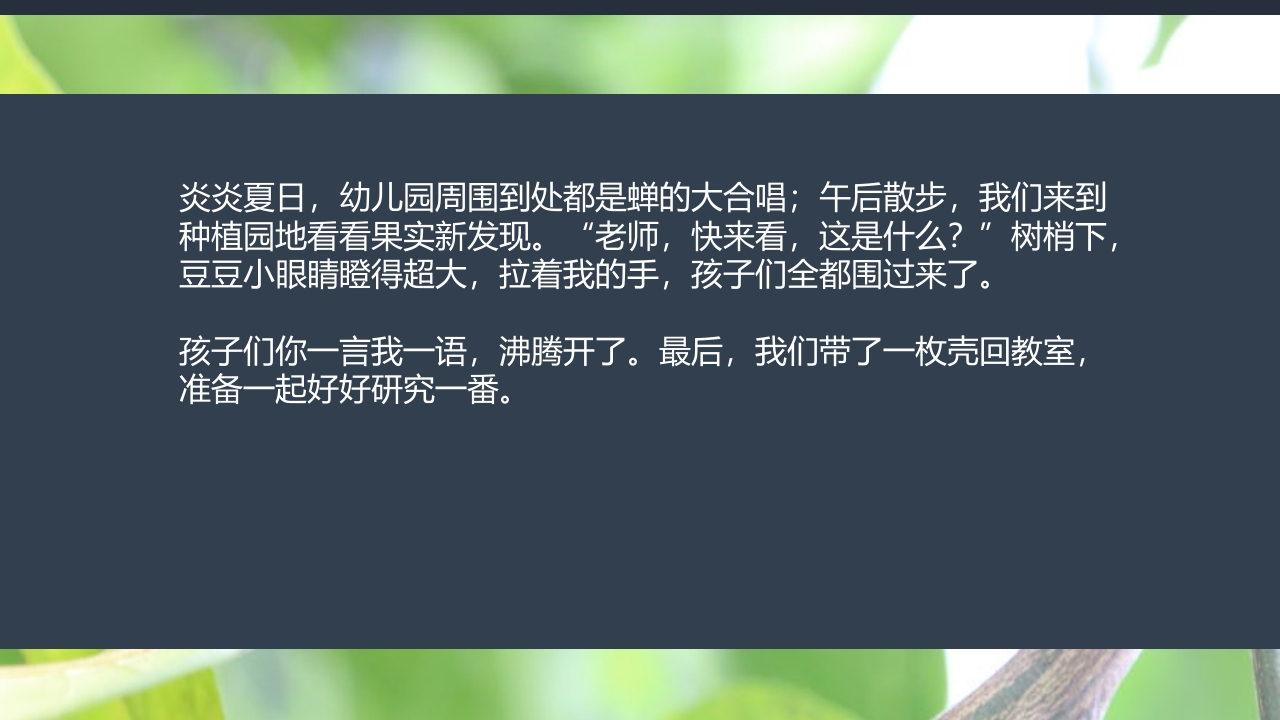 《蝉的秘密》幼儿园大班班本课程PPT课件4