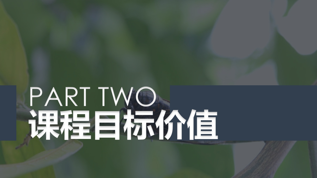 《蝉的秘密》幼儿园大班班本课程PPT课件5