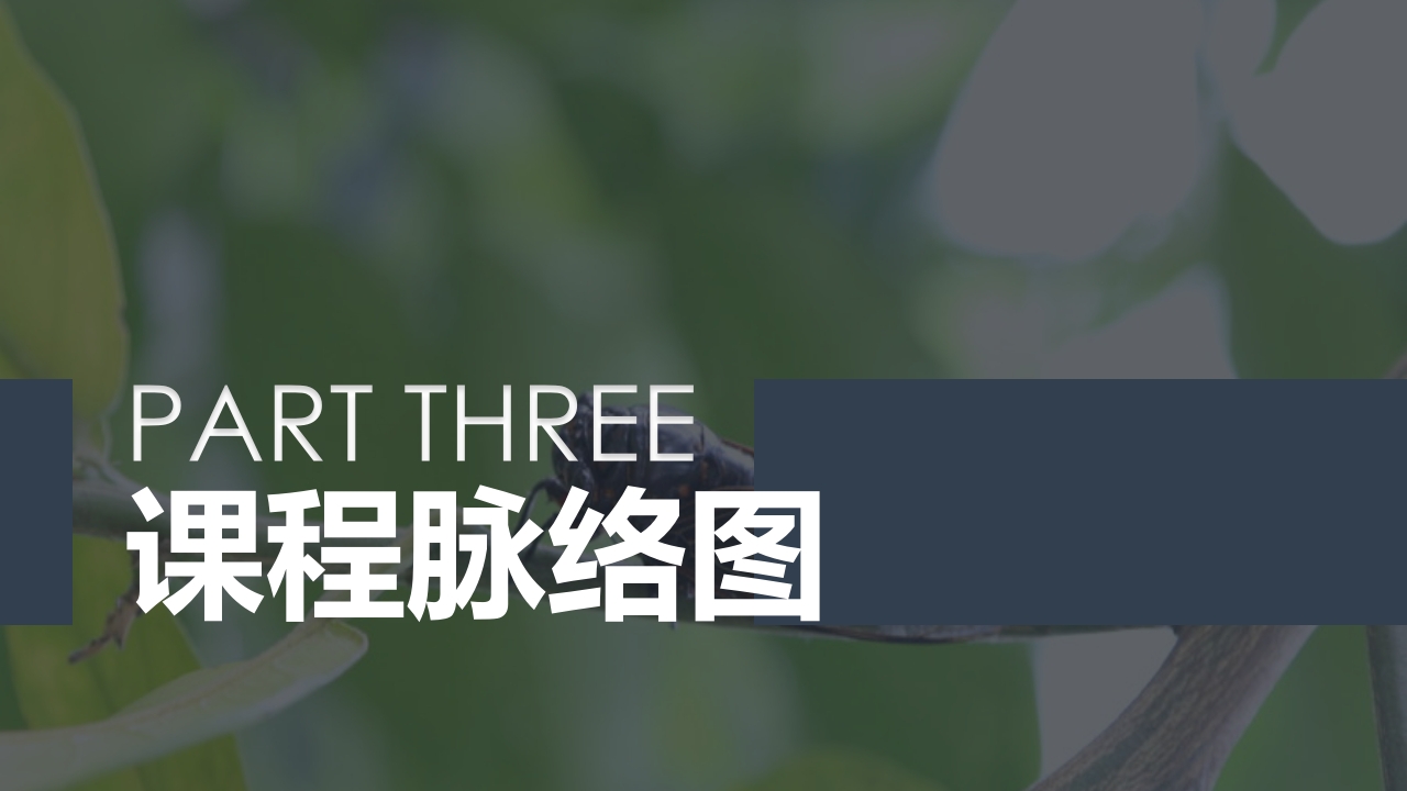 《蝉的秘密》幼儿园大班班本课程PPT课件7